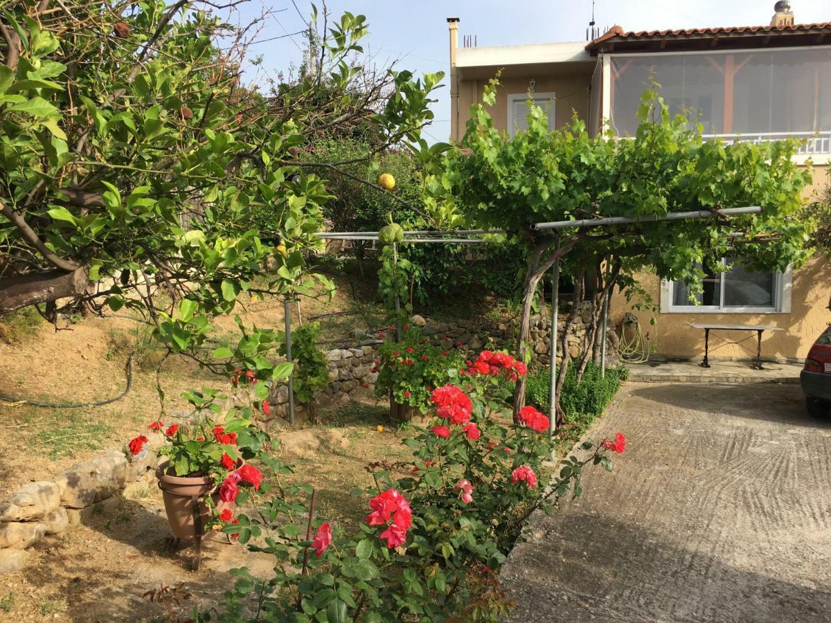 Physis Rental Estate Pigi  Exterior photo